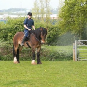 Murf ridden
