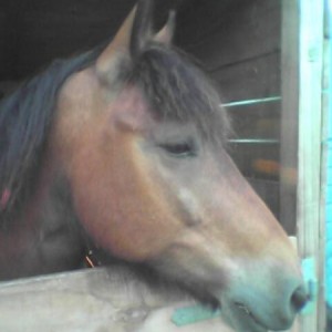 Murf again