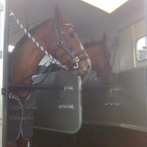ready for the off