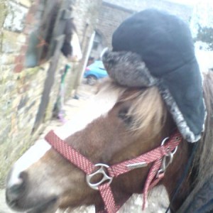 hat!