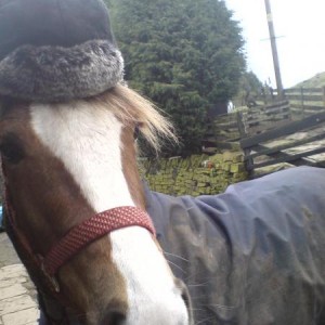 Hat