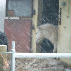 "Its too cold to go out!"