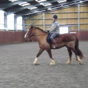Mum riding Laddy