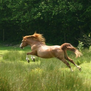 weeeeeeeeee