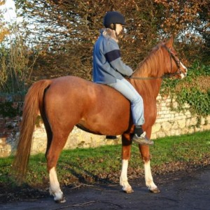bareback ride