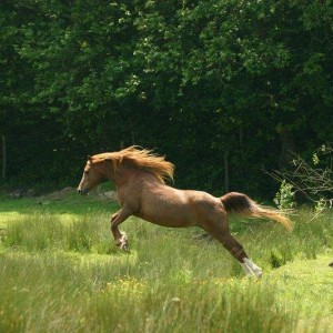weeeeeeeeeee