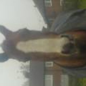 Sov headshot 20.04.08