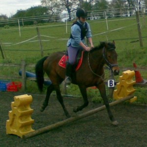 nice elevated trot!!!
