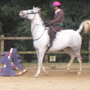 Oops! *Notice the refusal is at the tiniest fence ;P Silly horse!*