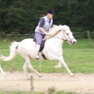 Sól cantering