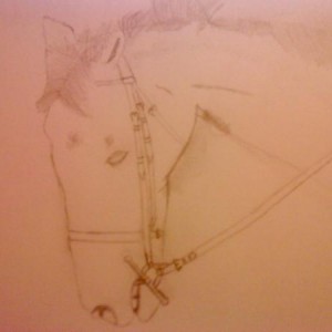 very crappy picture drawn by moi