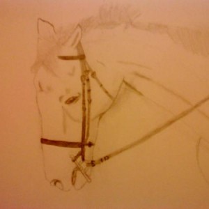 a less crappyt drawing - edit of other one...