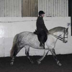 Schooling