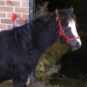 Bailey "I want to go in now" 7mths