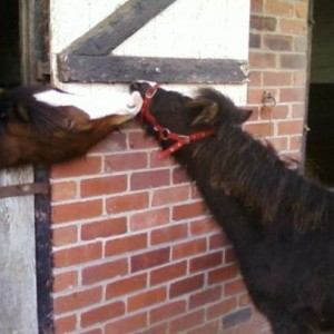 Kissy, kissy!!!