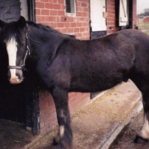 Shadow at 20mths