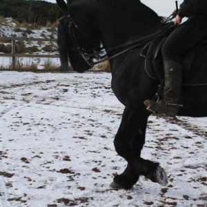 Picture 117