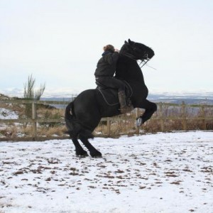 Picture 120