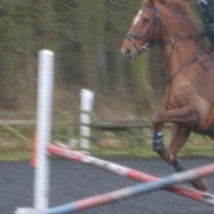 emma jumping...and bad photography skills!