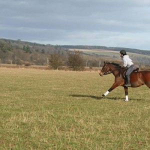 Galloping