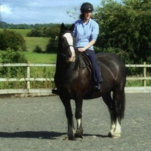 All trimmed and looking almost like a show cob!
