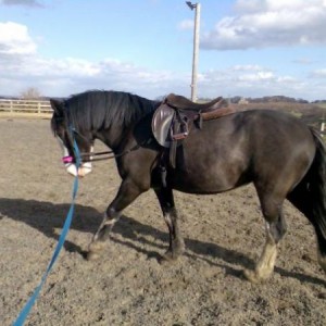 lunge pic