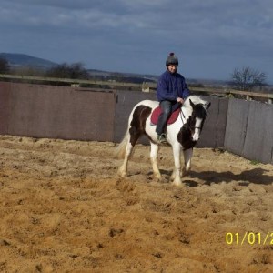Ella - 14.1/14.2hh coloured mare. 4 years. Backed, needs riding away. Forward going and a bit more to her than her half sister