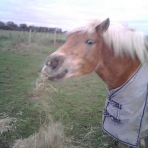 Daisy in her 'mac'