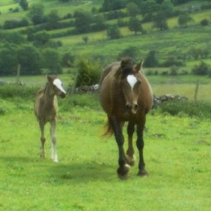 Bailey at 10 days, with his mum