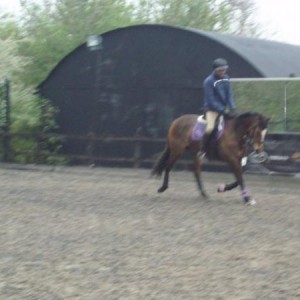mark todd on bella