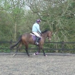 me on bella