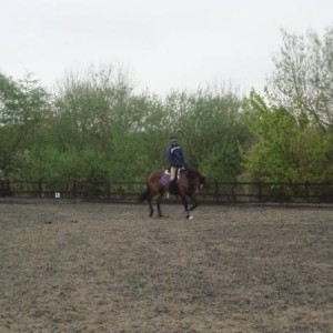 mark todd on bella