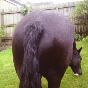 Rear view!