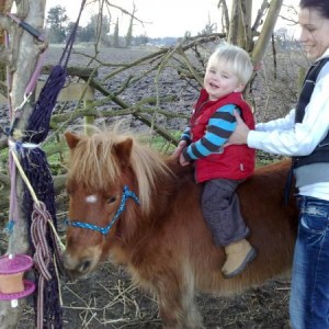 2 year old Tyler (my great nephew) sitting on Cassi with Mum Hayley