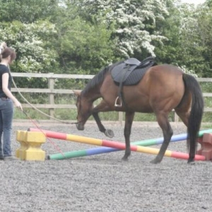 Me + Lyd