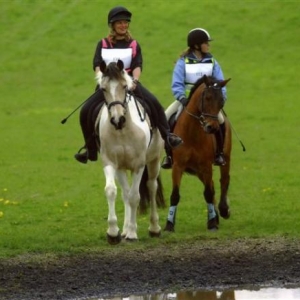 Mimi eyes up the water jump - she likes water, maybe a bit too much!