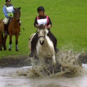 Starting to have a splashing time ...