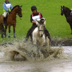 Two minutes later, still stuck in the water jump!  How high is her hoof??
