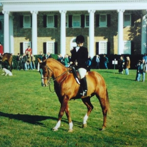 opening meet 1999 - Blue Ridge Hunt, VA USA