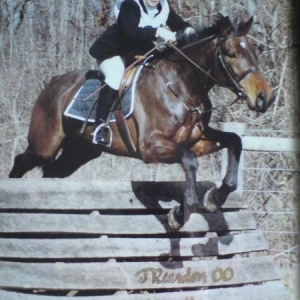 Media 'competing youngester in the US' in album 'old horsey pics'