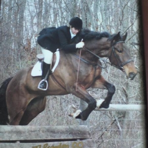 the 18.2hh again = shame it was a wrong stride! lol