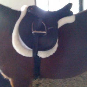 saddle 002