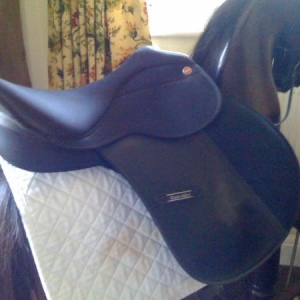 saddle 004