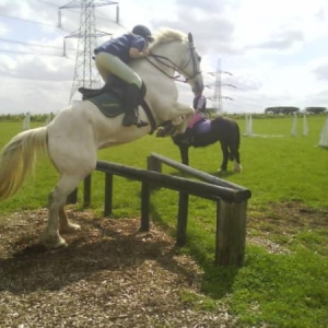 jumping silver