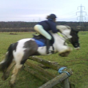 beasty