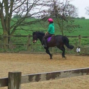 Percy thinking he's in the Grand National ;-)