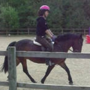 Percy