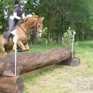 Log at the top of the hill after the ditch...