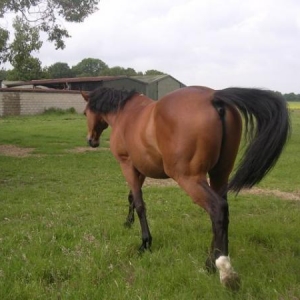 Media 'Unknown 3' in album 'My boy :-)'