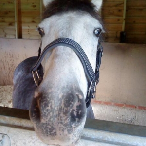 Cute Spotty Lips!